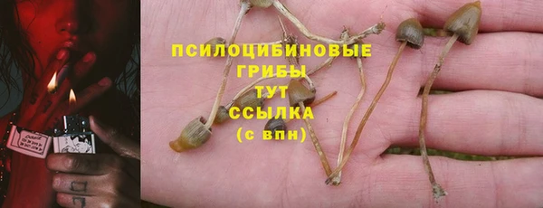 apvp Армянск