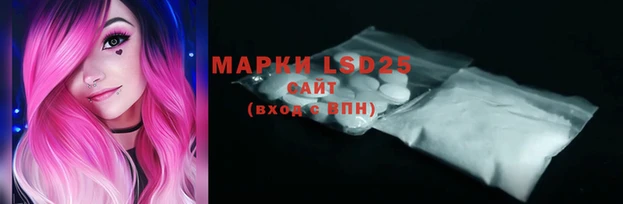 ГАЛЛЮЦИНОГЕННЫЕ ГРИБЫ Няндома