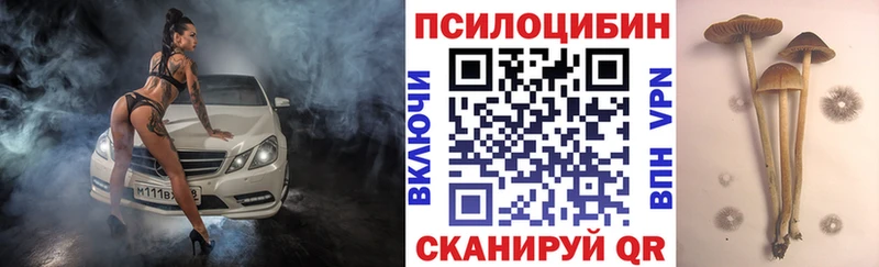 Псилоцибиновые грибы ЛСД где найти наркотики Видное